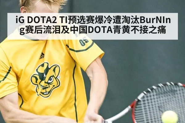 iG DOTA2 TI预选赛爆冷遭淘汰BurNIng赛后流泪及中国DOTA青黄不接之痛